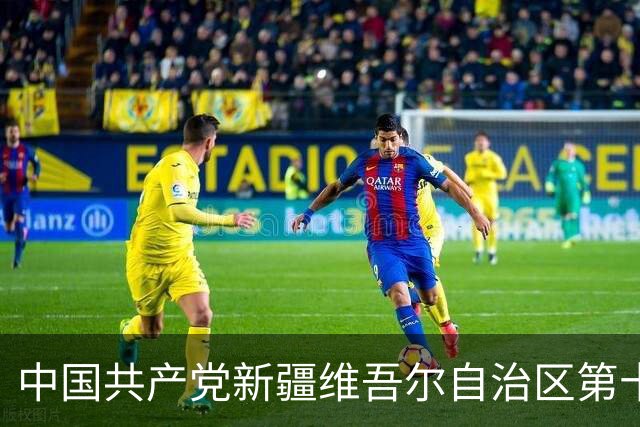 中国共产党新疆维吾尔自治区第十一届委员会常务委员会委员简历